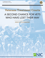 Veterans Treatment Webinar
