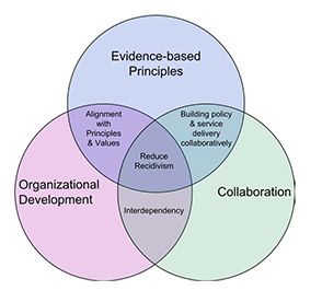 integrated model for the implementation of evidence-based policy and practice