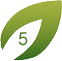 leaf five